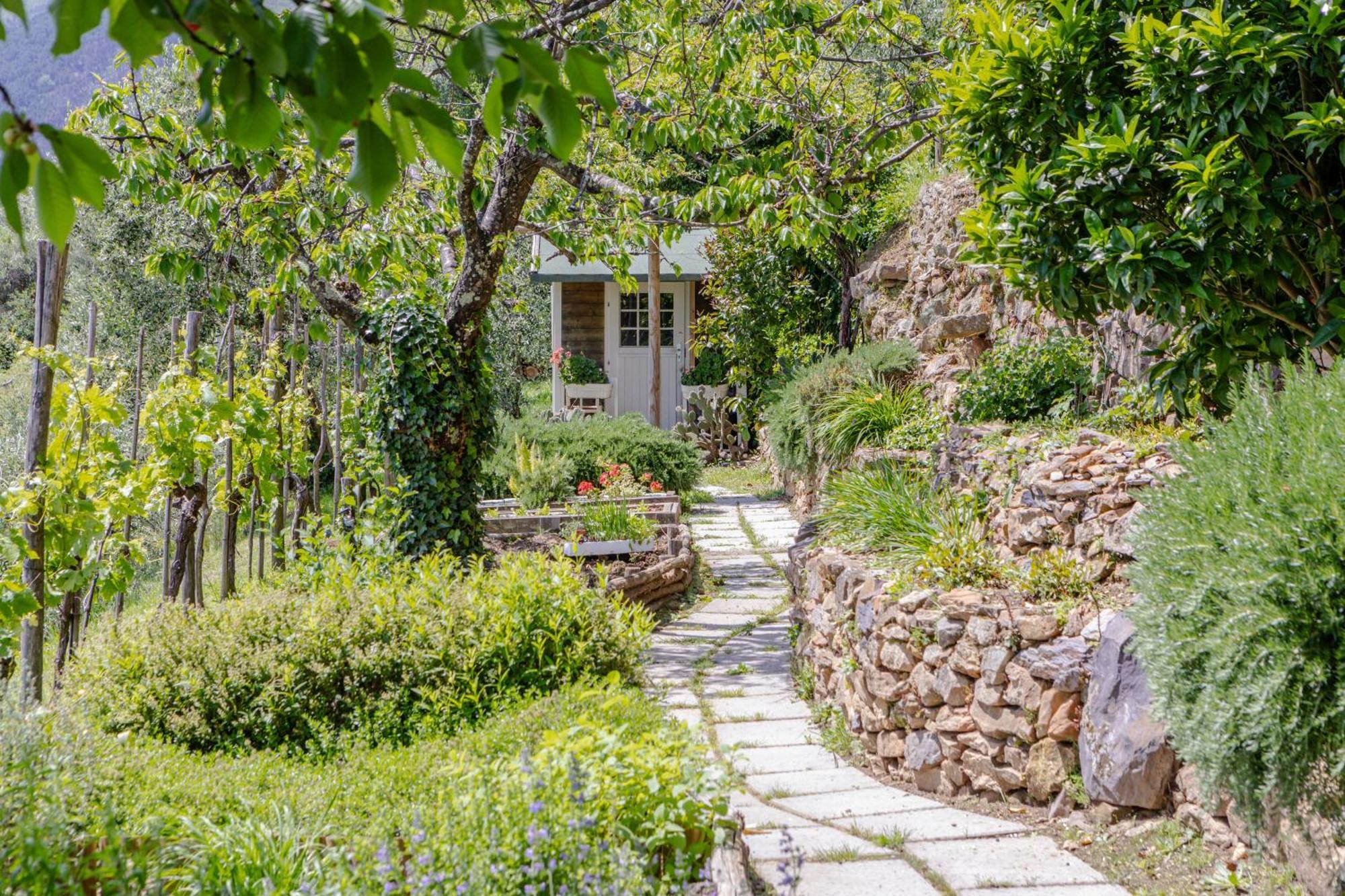Villa Sii Felice Buti ภายนอก รูปภาพ