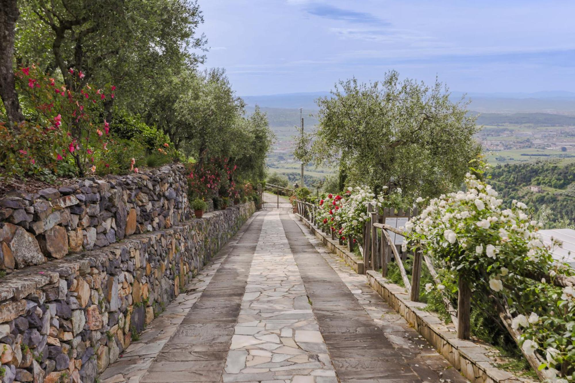 Villa Sii Felice Buti ภายนอก รูปภาพ